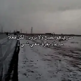 #fyp #حب #شعر #قصيد 