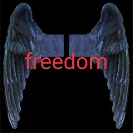 one day, i'm gonna grow wings. #purgethehallow #foryou #alightmotion #edit #macabre 