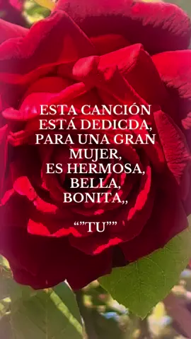 ES PARATI❤️