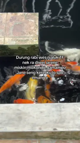 Rene njengking sek😹