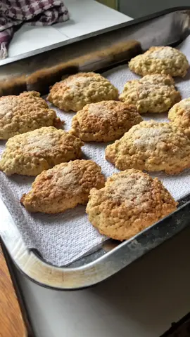 Hoy hice galletas, pareciera que solo comimos durante el día pero igual trabajamos solo que olvidé grabarlo jeje 🤠 #chile #surdechile #villarrica #comida #sureño #animales #paraisolacustre 