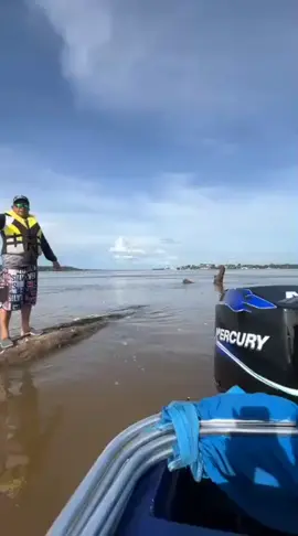 el temerario wild Juan explorando y mostrandoles lo impresionante de la naturaleza en nuestro río orinoco...un capitán con agallas..!