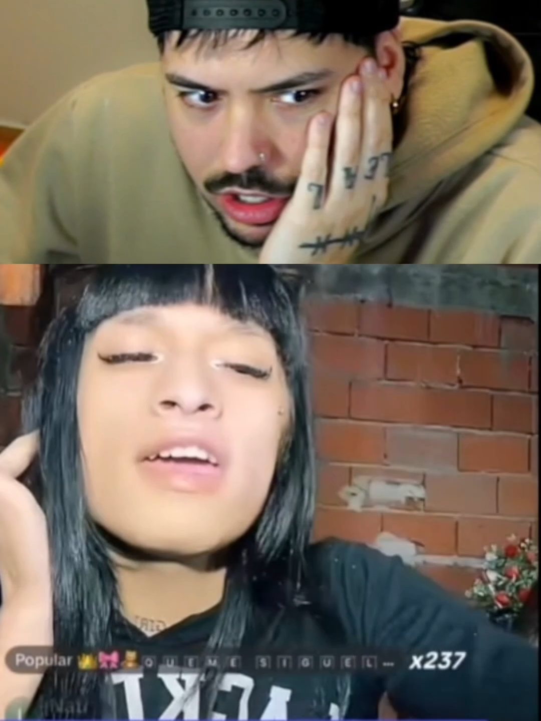 acompañeNON