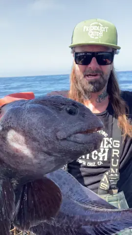Friendliest Catch Gooseneck Barnacles and Wolf Eels #friendliestcatch #commercialfishing #crab 
