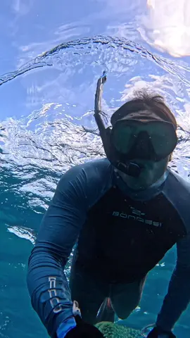 Increíble lo cristalino del mar #gopro #fypシ゚viral #photography #travel #fypシ゚ #mexico🇲🇽 #mundo 