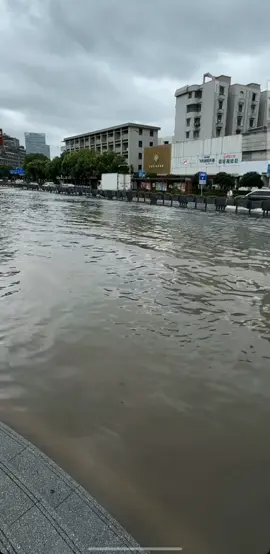 #creatorsearchinsights #viral, #flood, #foryou, #tiktok, 