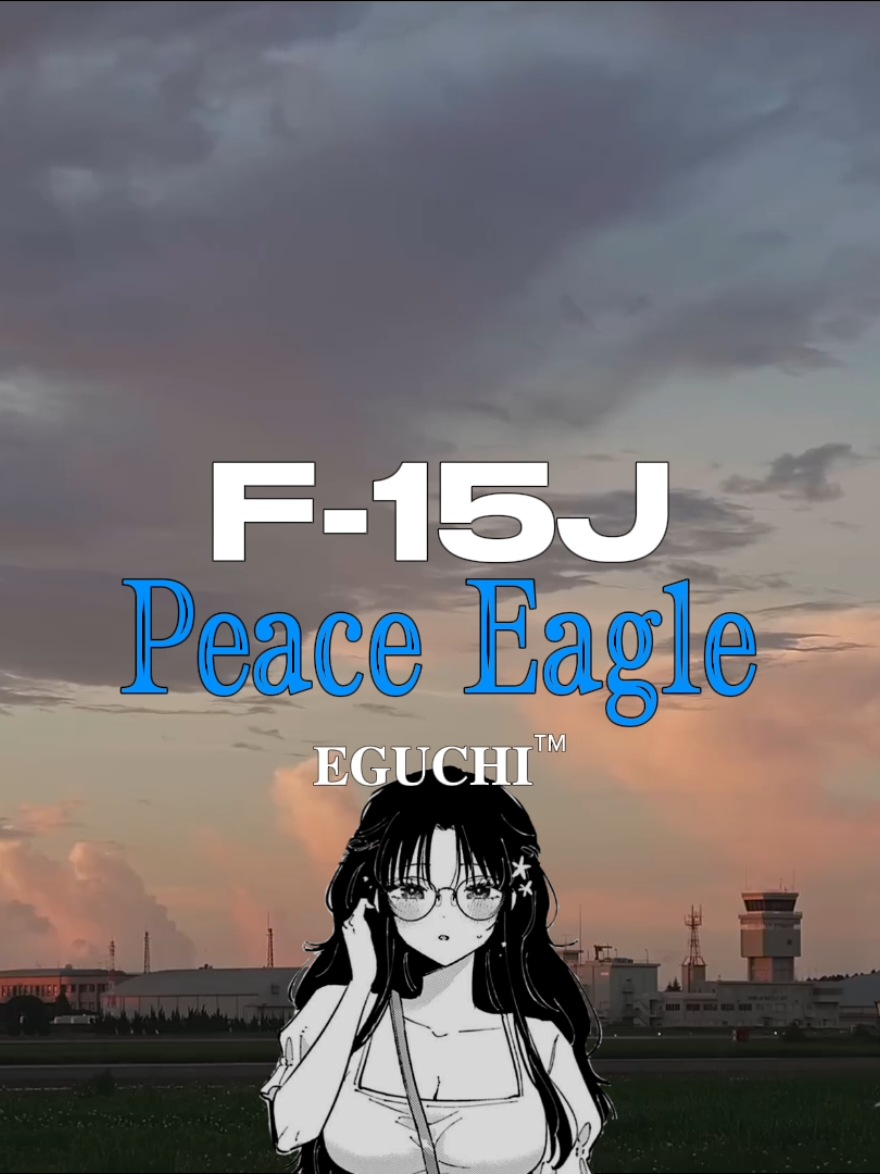 F-15J | #fyp #f15 #fighter #japan #halicali 