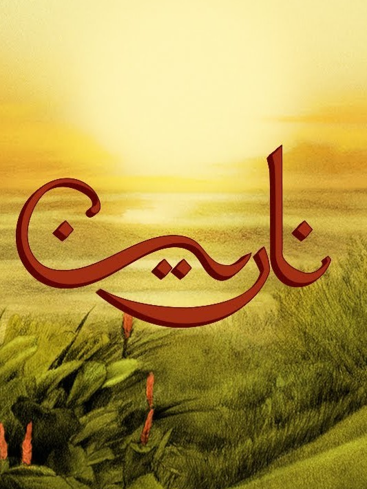 Narien - TUL8TE#توليت #راب_مصري #tul8te #rap3arab #iconic_rap #music #song #trendingsound #soundtrend #tiktokaudio #dancetrend