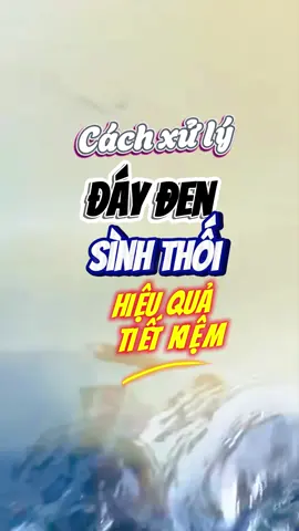 Ao nuôi bốc mùi, đáy ao đen, tôm yếu gan xấu? ⚠️ Nguyên nhân chính: phân tôm, thức ăn dư, khí độc H₂S – NH₃ – NO₂ tăng cao. Giải pháp nhanh: Xả bớt nước đáy ➜ Tạt Enzyme Plus phân hủy bùn đen, khử khí độc ➜ Bổ sung men vi sinh phục hồi hệ vi khuẩn có lợi. 👉 Enzyme Plus – làm sạch đáy ao, giảm khí độc, giúp tôm khỏe, ăn mạnh, lớn nhanh. Áp dụng đúng cách, vụ nuôi an toàn, năng suất cao. Theo dõi Tôm Đàm Đạo để biết thêm nhiều bí kíp nuôi tôm hiệu quả nhé! #visinh #enzyme #nuoitom #dayaoden #tomdamdao #tiktok #viralvideo 