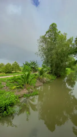 Cv hang ngay cua e la chăm mẫu nhí này..ngay nao cung theo ut quay top top🥰🥰#nhachaymoingay #nhacnayhay #fyp #viralvideo #canhdepmientay #canhchillvungque🌾 #canhchill #67angiang #kiuctuoitho 