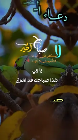 دعاء الصباح اللهم إني أسألك الثبات في الأمر  وأسألك العزيمة على الرشد وأسألك شكر نعمتك وحسن عبادتك  وأسألك قلبا سليما ولسانا صادقا وأسألك من خير ما تعلم وأعوذ بك من شر ما تعلم وأستغفرك لما تعلم، إنك أنت علام الغيوب #صباحكم_أحلى_صباح #صباحكم_معطر_بذكر_الله #صباح_الورد #صباح_الخير #صبحكم_الله_بالايمان_وطاعة_الرحمن 