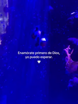 #hagamosviralajesus #Dios #amor #dedicarvideos♡ #chicacristiana💕 #paratiiiiiiiiiiiiiiiiiiiiiiiiiiiiiii #viral #viral_video_tiktok #zyxcba 