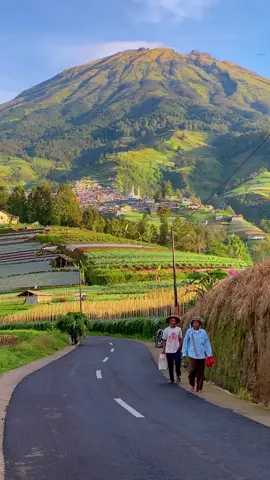 Bayangin kamu tinggal di desa seindah ini #sukomakmur #nepalvanjava #magelang #explore #wisata #jateng #viral 