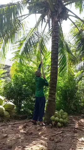 tiếp tục đi cày thôi ae ơi . @Lê tài 