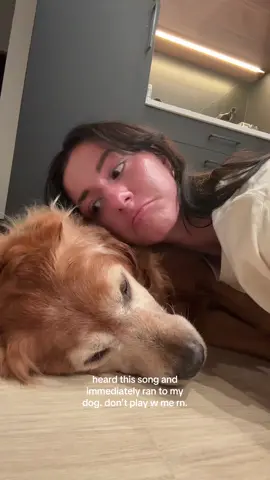 I can’t listen to this song it makes my stomach hurt #dog #goldenretriever #sadsong #change #fyp #viral #crying 