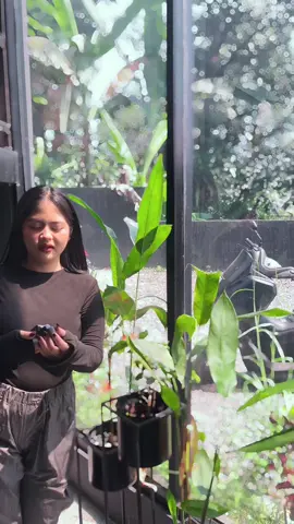 emang enaknya pagi yang terik gini cium yang seger-seger kayak Play😍🤩 #promoseruweekend #parfum #extraitdeparfum #beauty #cuddleandco #trending #viral #xyzbca #parfumtahanlama #fyp #parfume #fypシ゚viral 