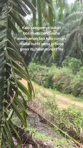 #blaraksumatera #sawitbalap @suwondo513 @glng_507 @GLS01 @🐼🐼 