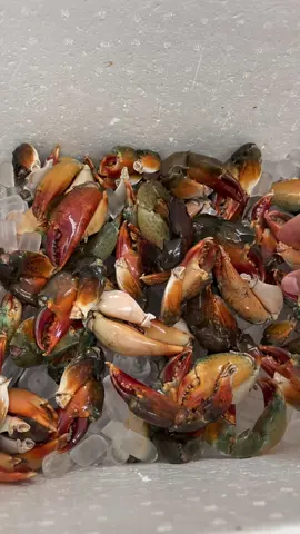 Càng cua size 14-17 nay e có ạ #xuhuong #haisan #tphcm #quan6 #cangcua #phuquyseafood 