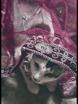 ........! #foryoupage  #foryou 