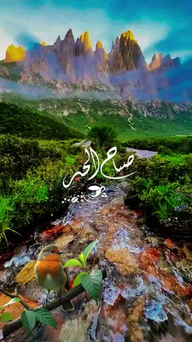اللهم ارزقنا الطمانينة في قلوبنا#اللهم #أمين #يارب #العالمين #اللهم_امين_يارب_العالمين #سبحان_الله_وبحمده_سبحان_الله_العظيم #اللهم_صل_وسلم_على_نبينا_محمد #🤍🤍🤍 #🕊🕊🕊 #🌿🌿🌿 #🌻🌻🌻 