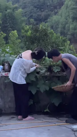 Thế giới này phức tạp quá, nó khiến những người thật lòng trông có vẻ hơi ngốc 🥺 #tieuca #小哥 #odaycomotnguoidoicau #toigannhuquencachyeumotnguoi #viral 