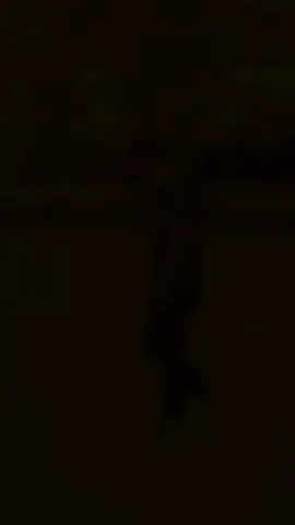 @Tik tok Viral @#foryou @Creator tik tok @creator search insights #virallll #unfezzemyaccount #highlight #frypppppppppppppgシ #foryoupage 