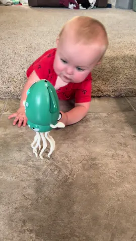 This dancing squid toy is hilarious and my 9 month old loves it! #squid #dancingsquid #dancingtoy #babytoy #kidstoys #lightuptoys 