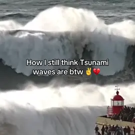 i think they massive still 🤷 #fyp #viral #relatable #tsunami #ocean #earth #scary 