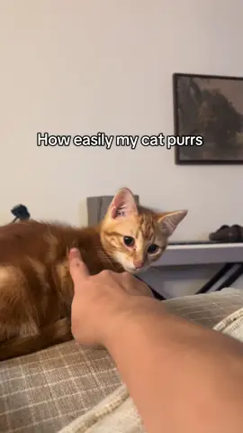 The slightest touch does the trick 