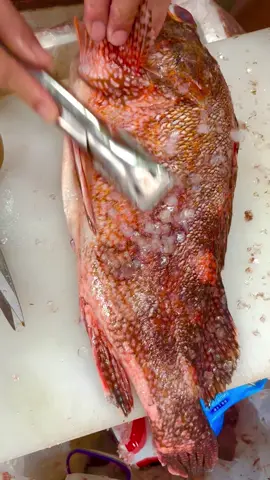 #creatorsearchinsights Savoring Street Food Delights #viral, #trending, #foryou, #tiktok, 
