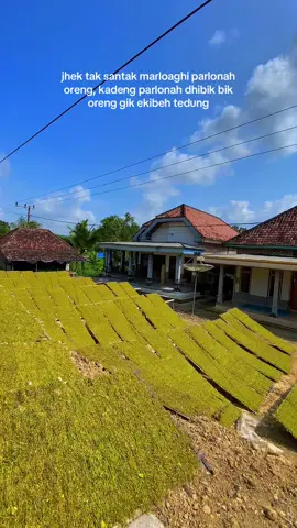 #petani #petanimuda #petaniindonesia🇮🇩🇮🇩🇮🇩🌿🌿 #masukberandafyp #berandatiktok #katakata #beranda #trend #viraltiktok #masukfyp #xybca #videoviral 