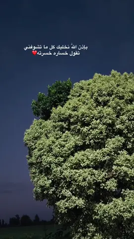 بإذن اللّٰه نعليك كل ما تشوفني تقول خساره خسرته #اخصام_سهله🥷⚔️🖤 