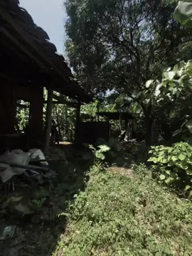 “Chuyen tinh nhu hoa gio