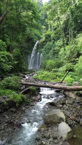 Suasana asri di air terjun tersembunyi yang paling cantik di Lombok  📍Air terjun Tiu Kelep, kab Lombok Utara, Nusa Tenggara Barat  #tiukelepwaterfall #airterjun #airterjunindonesia #wonderfulindonesia #pesonaindonesia #dronevideo #djimini3 #dji #lombok #explorelombok #wisatalombok 