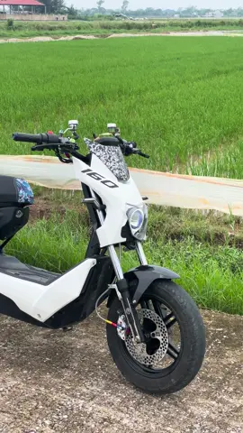 xe zin dán tem 160 phông bạt-)) #xuhuong #xediendo #xediendovietnam #xmendo #viral 