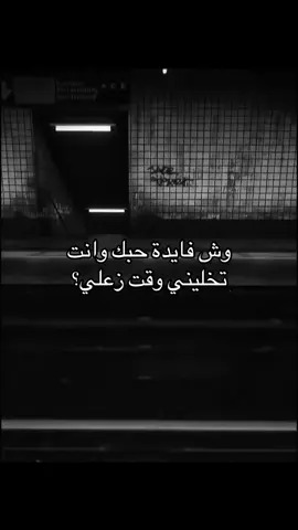 #هوجاس #fyp #foryou #explore 
