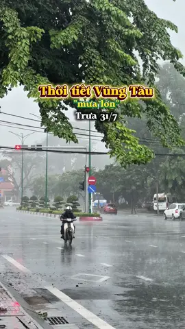 Thời tiết Vũng Tàu trưa 31/7 mưa lớn #thoitietvungtau #thoitiet #dulichvungtau #vungtaubeach #vungtaureview72 #vungtautrip #vungtau 