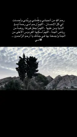 #رحمك_الله_يا_فقيدة_قلبي💔 #أمي #أمي_جنتي #صباحياتي🌸🎼 #اكسبلور #لايك_متابعه_اكسبلور_كومنت #فراق #فراق_الأحبة #شوق #فاقدة_أمها 