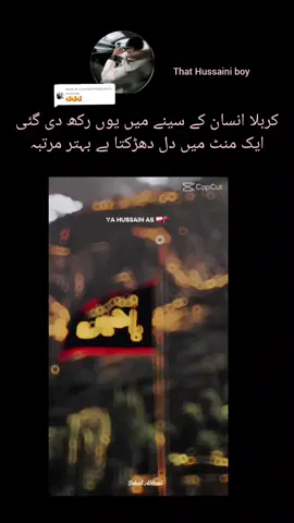 Replying to @user9745190833433 #vyppppppppppppppppppppppppppppppp #unfreezmytiktokidpleasetiktokream #unfreezmytiktokidpleasetiktokream #azadarehussain #salaamyahussain #moulayhassan #unfreezmytiktokidpleasetiktokream #unfreezmytiktokidpleasetiktokream #vyppppppppppppppppppppppppppppppp 