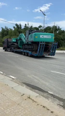 Cập Bến Thượng hải 😂