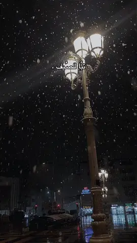 تبًا 🤍. #explore #follow 