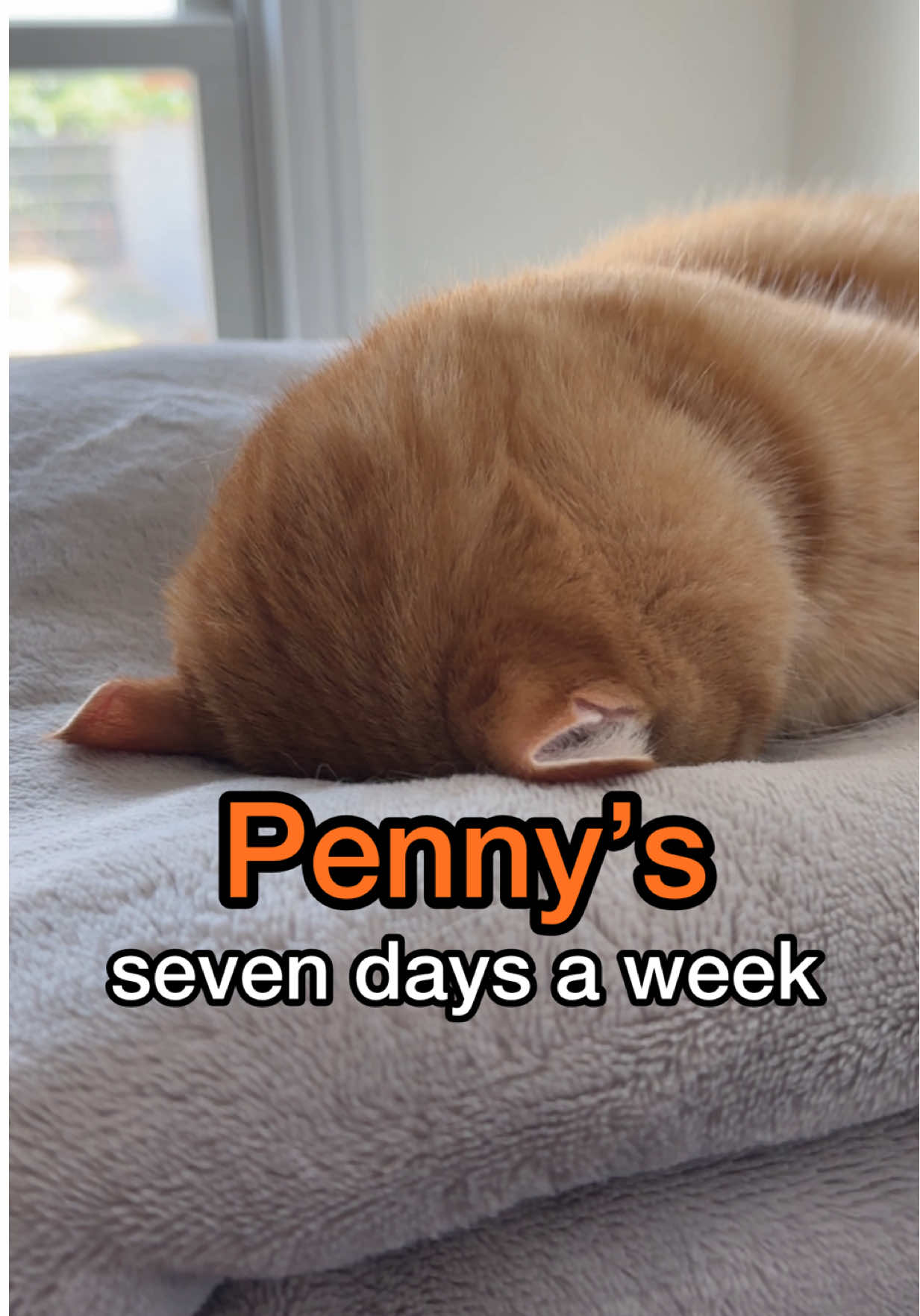 it’s been a week 