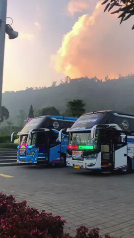 #mentahanvideo #busstory #marvelputratrans #fypage 