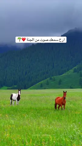 أجمل صوت من القران الكريم #القران_الكريم_راحه_نفسية #ارح_سمعك_بالقران #القران_الكريم #القران #quran #راحة_نفسية #القرانالكريم #محمد_زهير_الشرع #اكسبلورexplore 