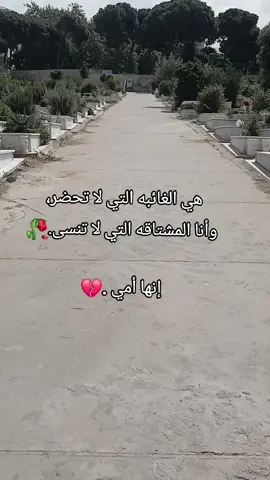 اللهم صبرا اللهم جبرا #كوني_قوية #جنتي_امي_تاج_راسي #فقيدتي_امي_افتقدك💔 #فقدان #ونيستي💕💕💕 #ماما #تعب 