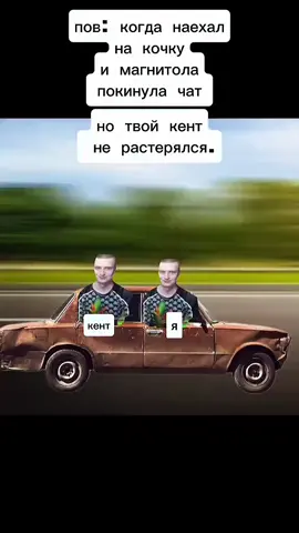 тиколо тиколо