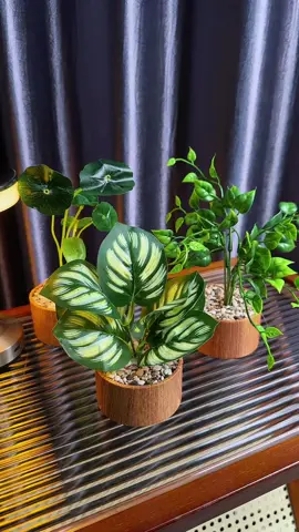 tanaman artificial buat hiasan/ dekor ruangan😍✨ #dekorasirumah #tanamanartificial #hiasanrumah #bungapalsu 