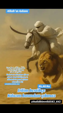 #islamic_video #muslimtiktok #islamic #islam #allah #viraltiktok #palestine #freepalestine #fypage #kuran #fypp #halidbinvelid583_642 #lailahailallah #viralvideos #muslim #hzali 