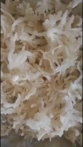 Rau câu chân vịt😋😋 giải nhiệt ngày hè