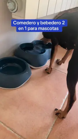 Comedero bebedero de animales 2 en 1 #mascota #mascotas #mascotastiktok #animal #animalsoftiktok #comedero #comer #bebedero 